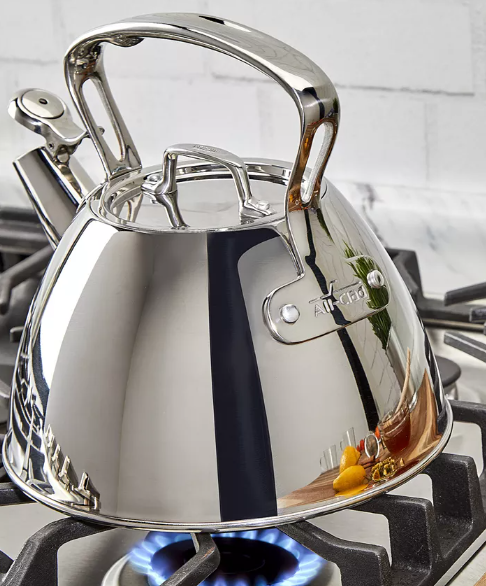 NEW All-Clad 2-Qt Stainless Steel Whistling Tea Kettle – Induction – Local Pickup