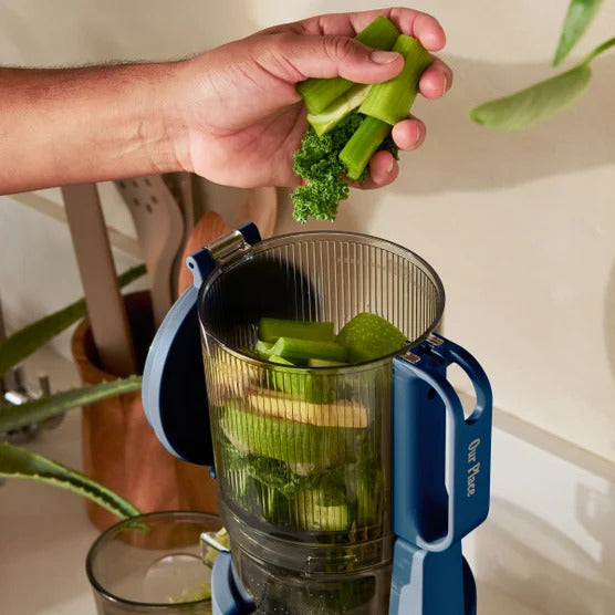 Cold Press Batch Juicer – Hands-Free Slow Masticating Juicer